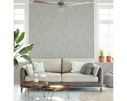 Salon avec canapé, tables basses, plante d''intérieur et ventilateur de plafond