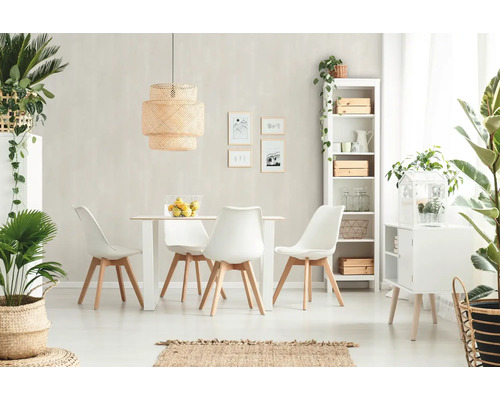 Heller Essbereich mit Esstisch, Stühlen, Regal und Zimmerpflanzen