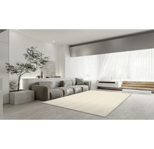 Salon lumineux avec canapé, arbre et tapis