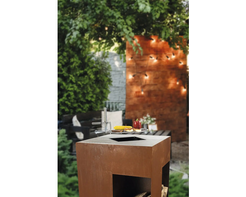 Scène de barbecue dans le jardin avec barbecue et aliments grillés