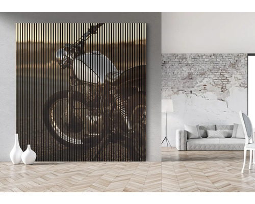 Panneau mural avec motif de moto dans le salon