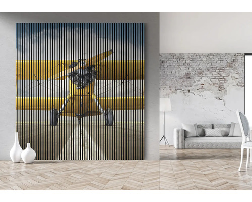 Tableau mural décoratif avec motif d''avion dans un espace de vie moderne
