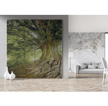 Pièce avec décoration murale à lamelles de bois avec vue sur l''arbre