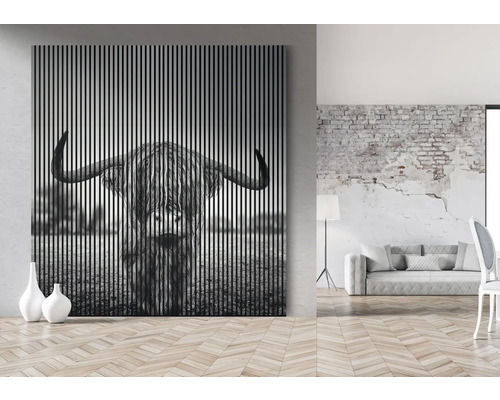 Image murale décorative avec un Highland Cattle écossais au format paysage