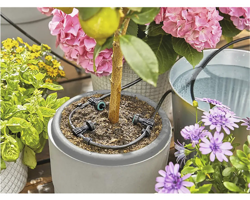 Système d''arrosage pour fleurs avec plantes en pot et réservoir d''eau