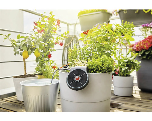 Scène de balcon avec des plantes en pot et un système d''irrigation solaire