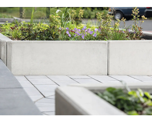 Jardinière en béton avec plantations à l''extérieur