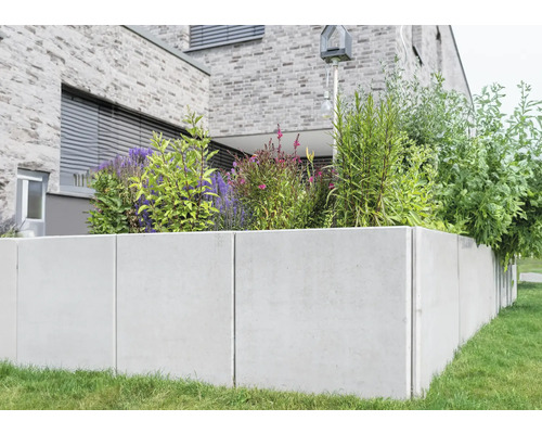 Jardinière surélevée en béton avec diverses plantes devant une maison