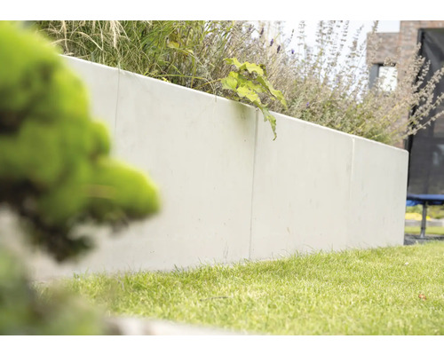 Mur en béton dans le jardin avec des plantes