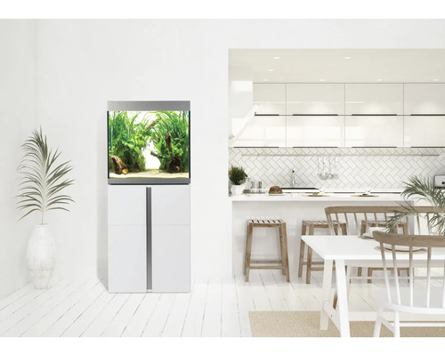 Aquarium aménagé sur meuble bas dans un espace de vie lumineux.