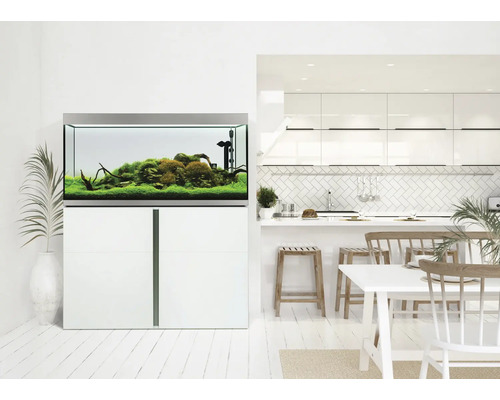 Aquarium mit Unterschrank in einem hellen Wohnraum