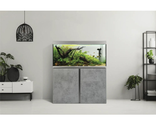 Aquarium installé sur meuble bas dans une pièce d''habitation.
