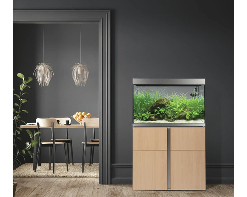 Aquarium avec meuble bas dans une pièce à vivre.