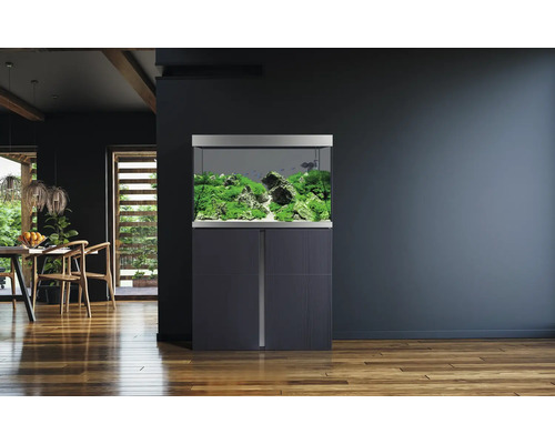 Aquarium mit Unterschrank in einem hellen Wohnzimmer