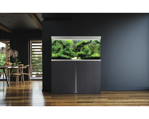 Eingerichtetes Aquarium mit Unterschrank im Wohnraum