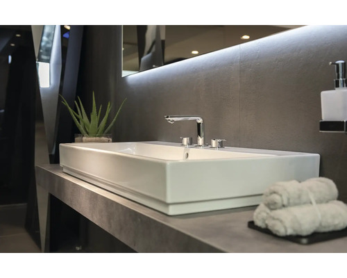 Badezimmer mit rechteckigem Waschbecken, Armatur, Handtüchern und Aloe Vera Pflanze