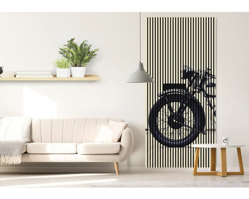 Salon avec canapé, étagère et poster de porte avec un motif de moto