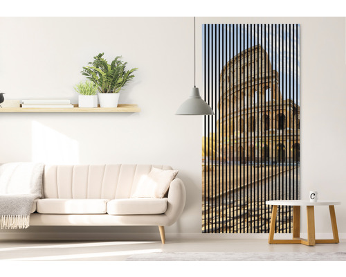 Salon avec canapé, étagère et panneau acoustique avec motif Colisée