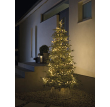 Sapin de Noël décoratif avec guirlande lumineuse à l''extérieur.