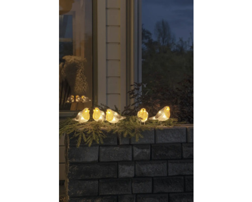 Figures décoratives de rouges-gorges illuminées sur un mur avec des branches de sapin