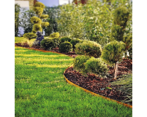 Aménagement paysager avec pelouse, buissons et bordures de pelouse