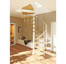 Pertura Spindeltreppe Koralia Buche Leimholz Ø 140 cm Weiss 12 Stufen 13 Steigungen