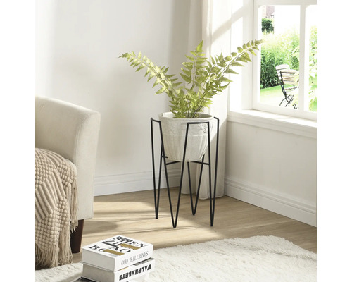 Zimmeransicht mit Pflanze in einem Topf auf einem Metallständer.