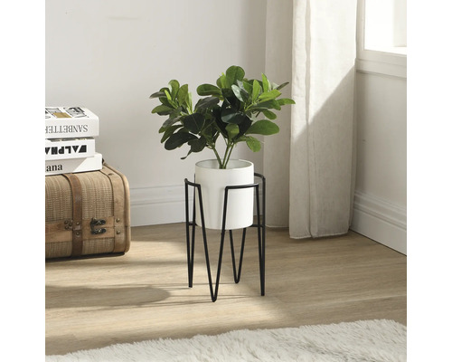 Plante d''intérieur décorative dans un pot blanc sur un support en métal noir.