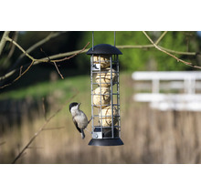 Support de boules de graisse avec une mésange charbonnière en train de manger