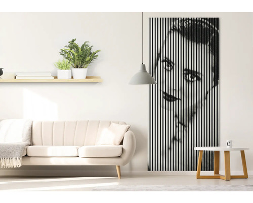 Salon avec canapé, étagère avec plantes et tableau mural avec des rayures verticales représentant un visage