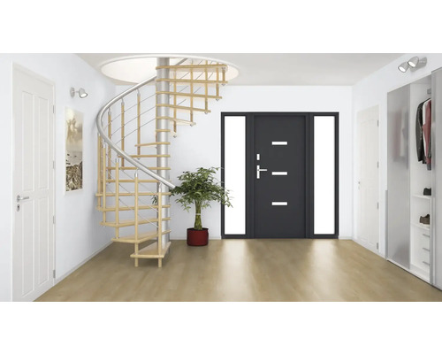 Helle Diele mit Wendeltreppe, Eingangstür und Garderobenschrank.