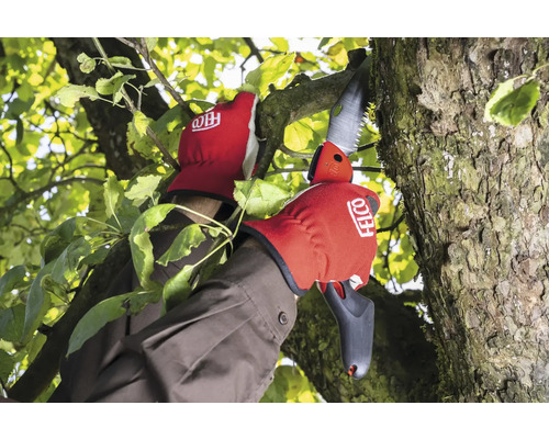 Gartenarbeit mit Handschuhen und Astsäge zum Schneiden von Ästen