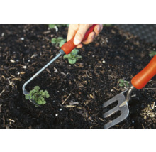 Eine Person, die mit einer Hacke und einer kleinen Harke Unkraut aus einem Gartenbeet entfernt.