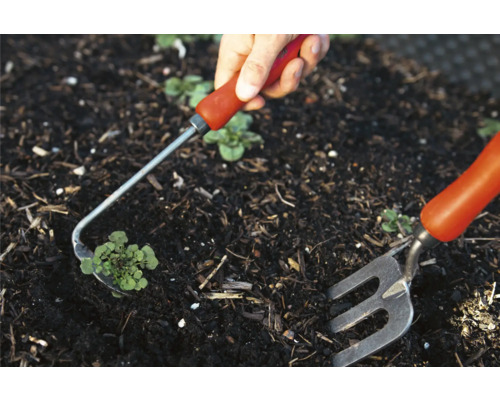 Une personne enlevant les mauvaises herbes d''un parterre de jardin avec une houe et un petit râteau.