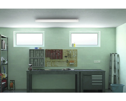 Werkstatt mit Werkbank, Werkzeugen, Regalen und Leuchtstofflampe