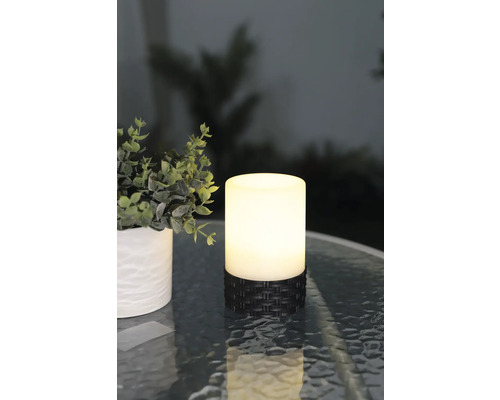 Leuchtende Tischleuchte neben Topfpflanze auf einem Tisch