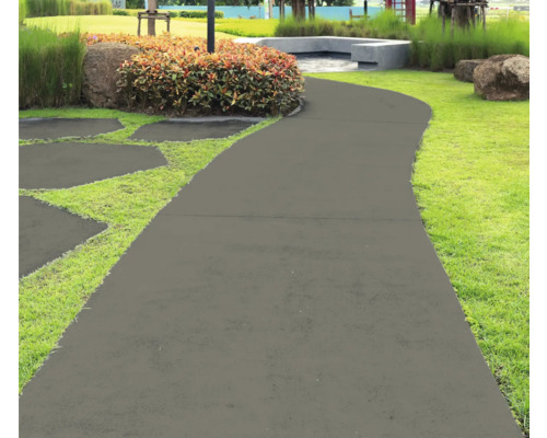 Chemin de jardin avec pelouse et végétation