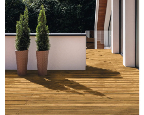 Extérieur avec terrasse en bois et deux plantes en pot