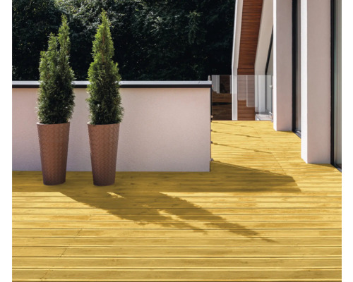 Terrasse mit Holzdielen und zwei Topfpflanzen