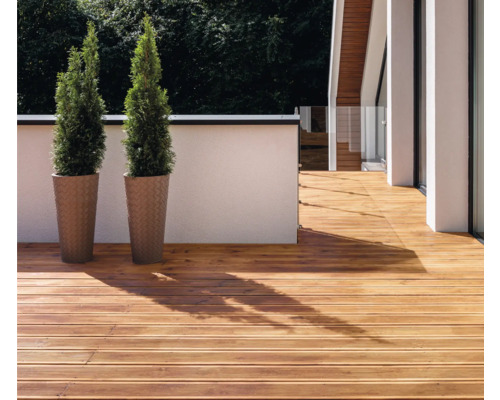 Terrasse mit Holzdielen und zwei Pflanzen in Pflanzgefäßen