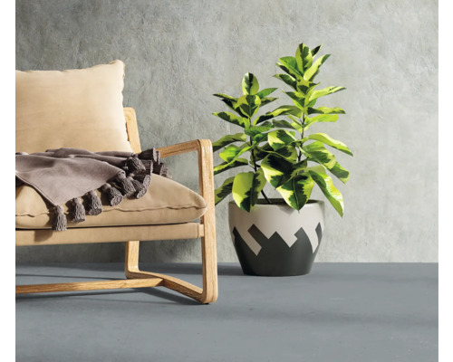 Zimmer mit Sessel, Pflanze und dekorativem Überwurf