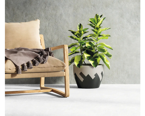 Dekoratives Interieur mit Sessel, Decke und Zimmerpflanze im Topf