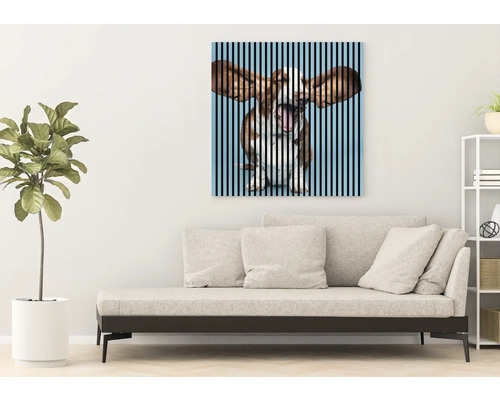 Salon avec canapé et photo avec motif de chien