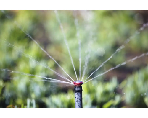 Arroseur de pelouse arrosant la pelouse