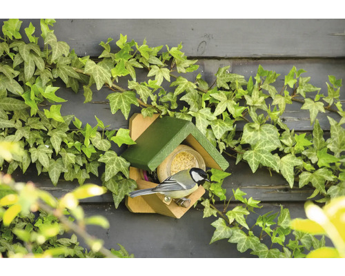 Maison pour oiseaux avec nourriture et une mésange charbonnière