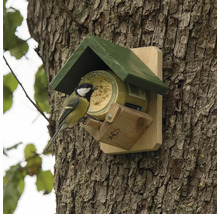 Oiseau sur une mangeoire sur un tronc d''arbre