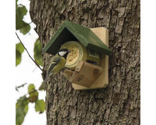 Oiseau sur une mangeoire sur un tronc d''arbre