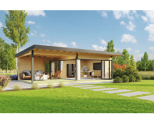 Maison de jardin en bois avec terrasse et intérieur moderne dans le jardin.