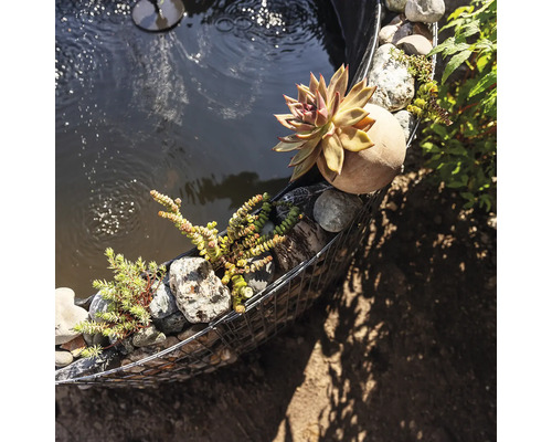 Gros plan d''un bassin de jardin avec bordure en gabion, pierres et plantes