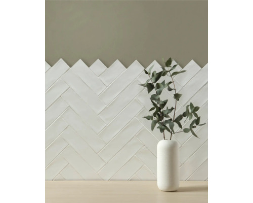Carrelage mural à chevrons avec un vase et des plantes